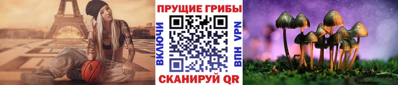 Псилоцибиновые грибы GOLDEN TEACHER  Задонск 